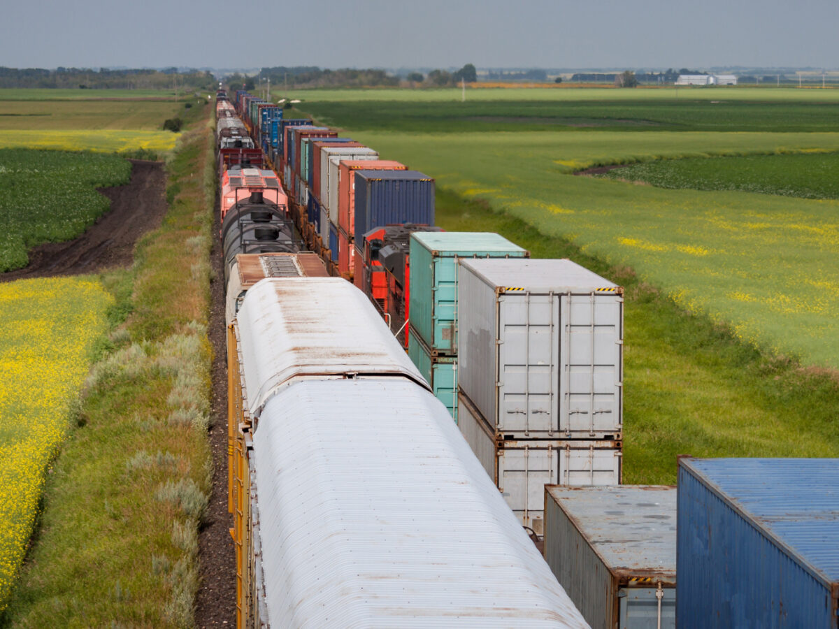 Photo: A line of box cars moves through a grassy field